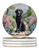 Curly-Coated Retriever Spring Path Large Sandstone Coasters Pack of 4 Absorbent Round Coasters Decor Gifts for Men or Women, 4 in, Multicolor